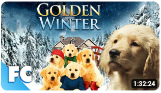 Golden Winter